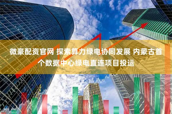 微豪配资官网 探索算力绿电协同发展 内蒙古首个数据中心绿电直连项目投运