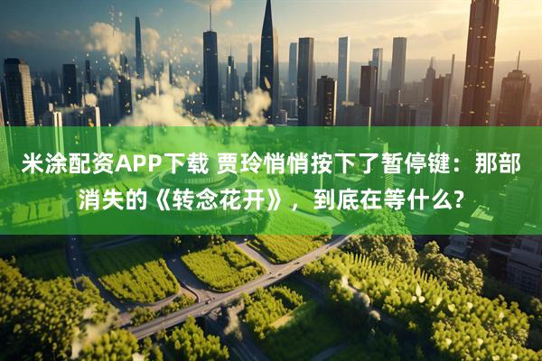 米涂配资APP下载 贾玲悄悄按下了暂停键：那部消失的《转念花开》，到底在等什么?