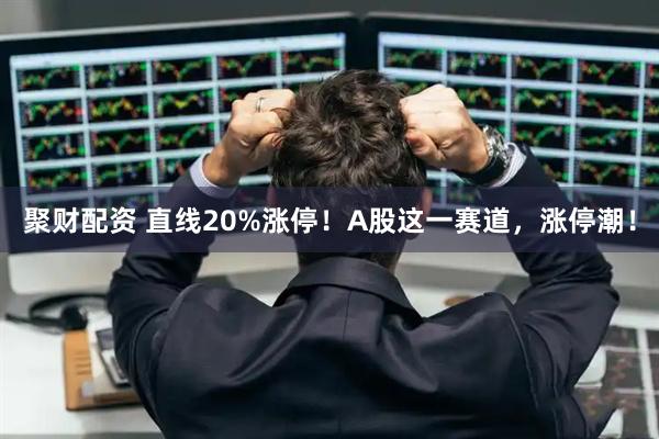 聚财配资 直线20%涨停！A股这一赛道，涨停潮！