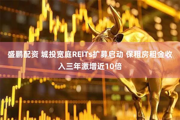 盛鹏配资 城投宽庭REITs扩募启动 保租房租金收入三年激增近10倍