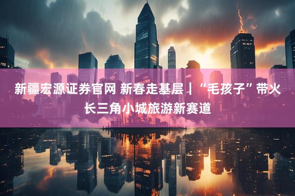 新疆宏源证券官网 新春走基层｜“毛孩子”带火长三角小城旅游新赛道